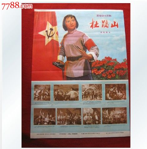 南佛罗里达大学硕士证书